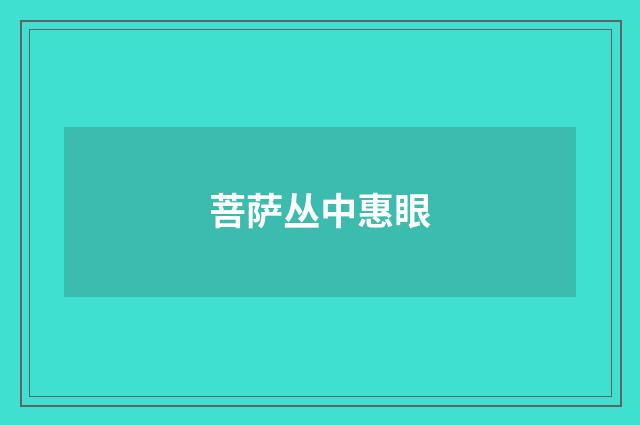 菩萨丛中惠眼