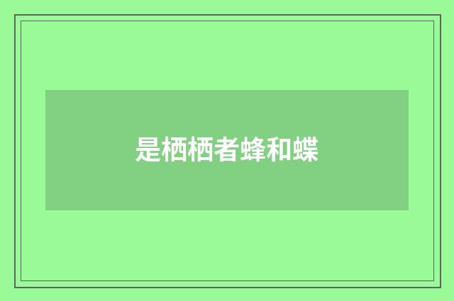 是栖栖者蜂和蝶