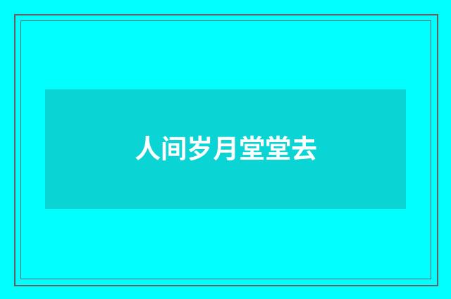 人间岁月堂堂去