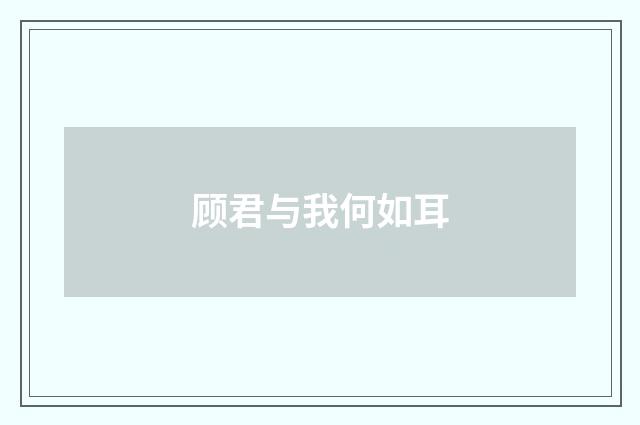 顾君与我何如耳