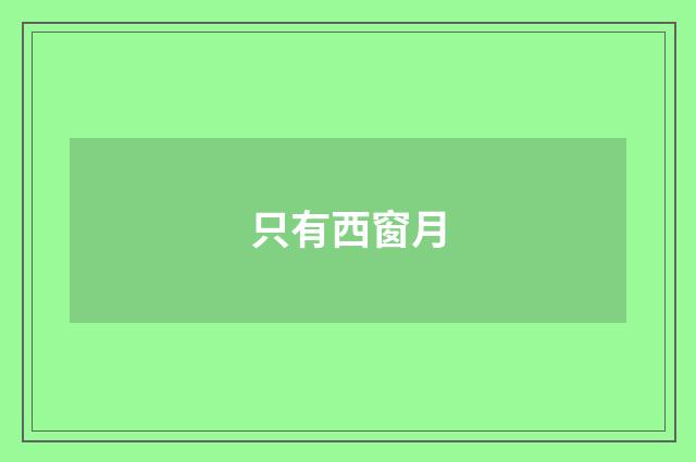 只有西窗月