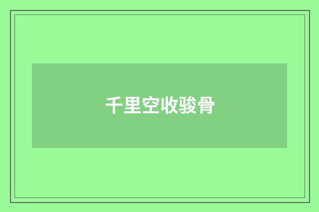 千里空收骏骨