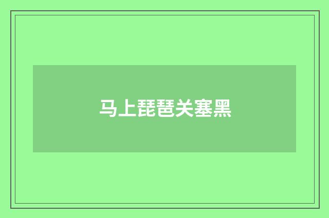 马上琵琶关塞黑