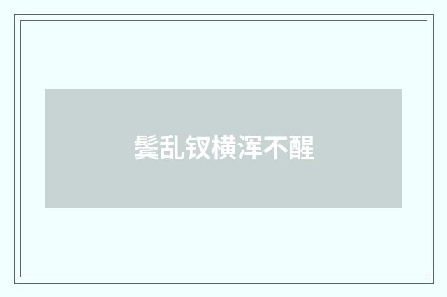 鬓乱钗横浑不醒