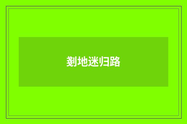 剗地迷归路