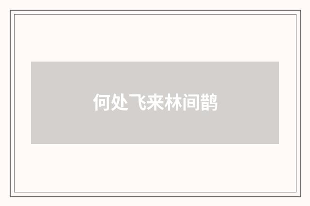 何处飞来林间鹊