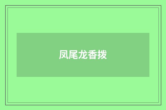 凤尾龙香拨