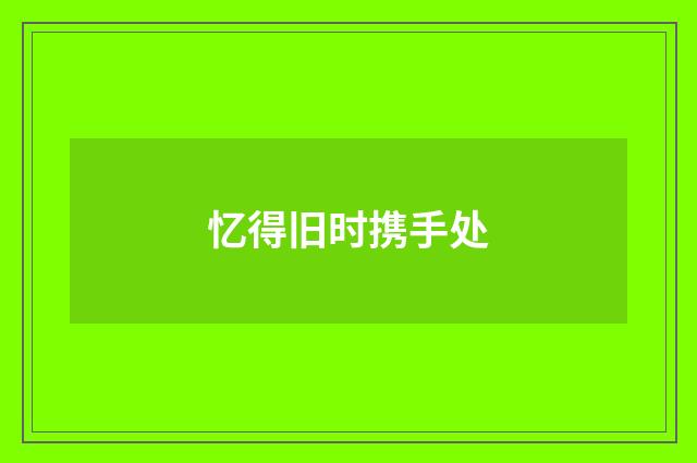 忆得旧时携手处