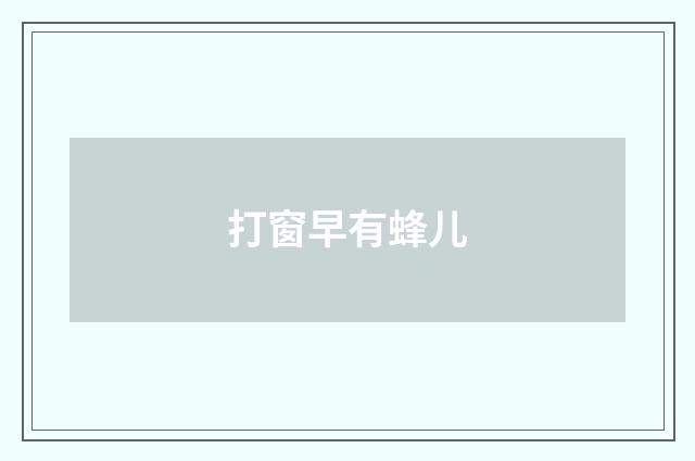 打窗早有蜂儿