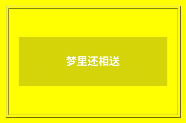 梦里还相送