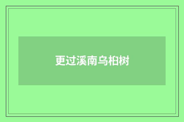 更过溪南乌桕树