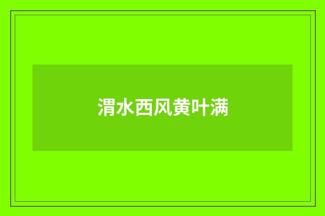 渭水西风黄叶满