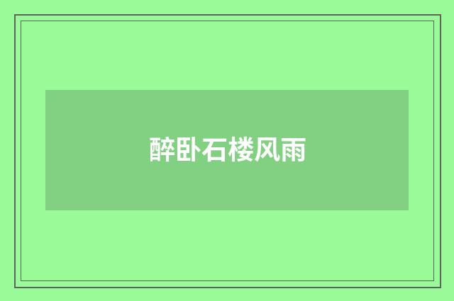 醉卧石楼风雨