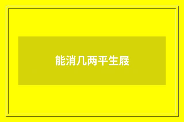 能消几两平生屐