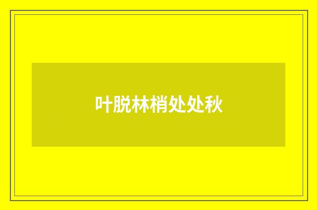 叶脱林梢处处秋