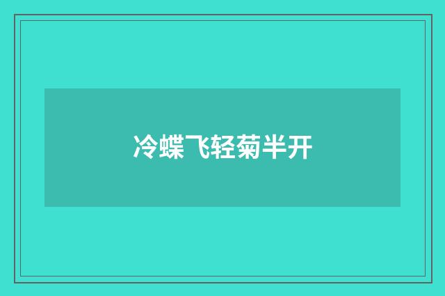 冷蝶飞轻菊半开