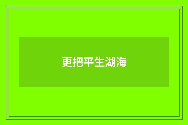 更把平生湖海