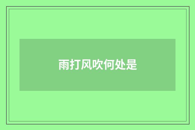 雨打风吹何处是