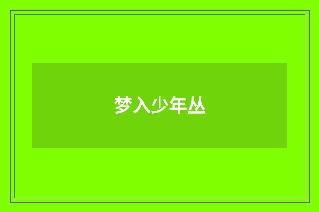 梦入少年丛