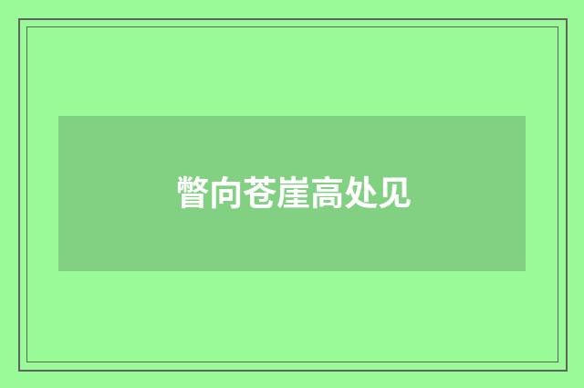 瞥向苍崖高处见