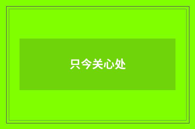 只今关心处
