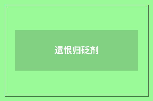 遗恨归砭剂