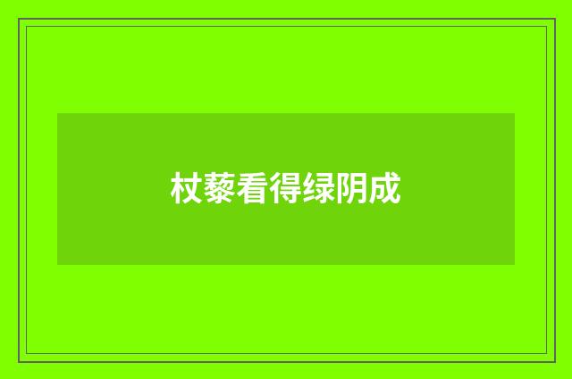杖藜看得绿阴成