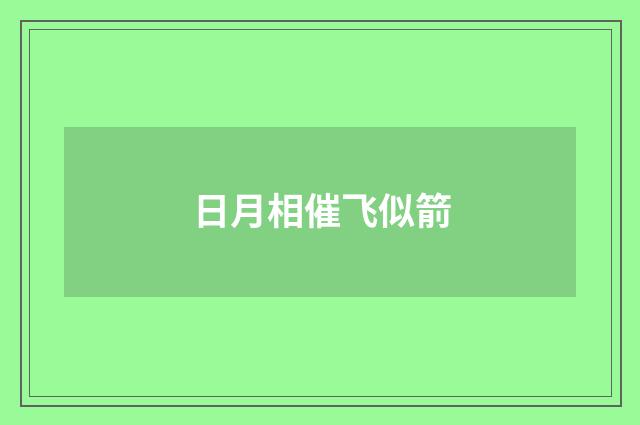 日月相催飞似箭