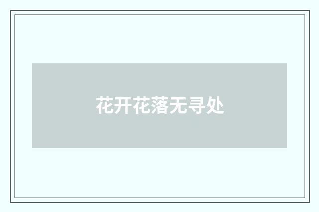 花开花落无寻处
