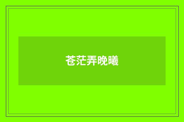 苍茫弄晚曦
