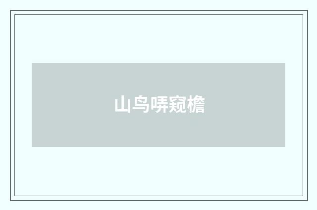山鸟哢窥檐