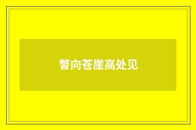 瞥向苍崖高处见
