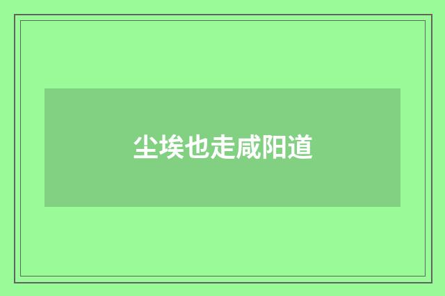 尘埃也走咸阳道