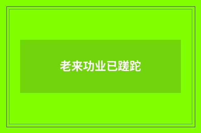 老来功业已蹉跎