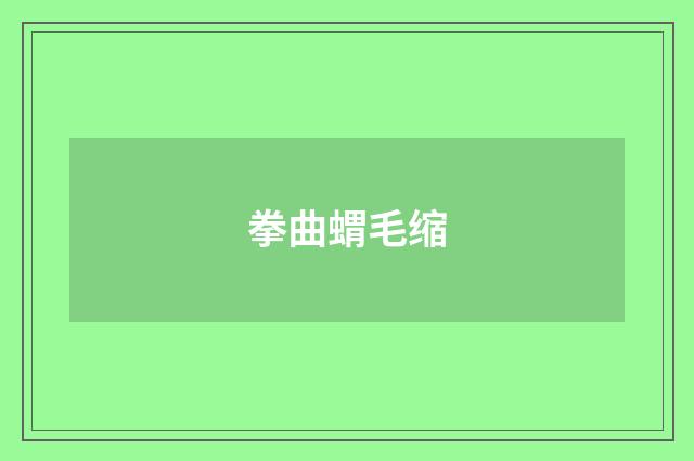 拳曲蝟毛缩