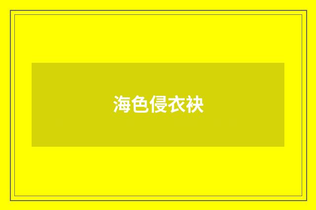 海色侵衣袂