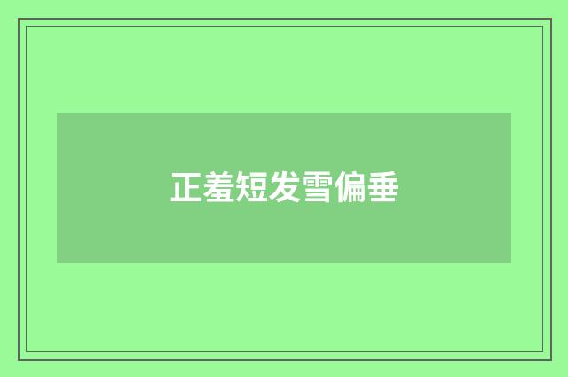 正羞短发雪偏垂
