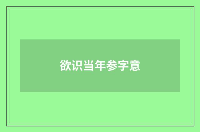 欲识当年参字意