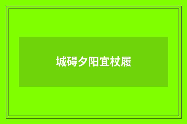 城碍夕阳宜杖履