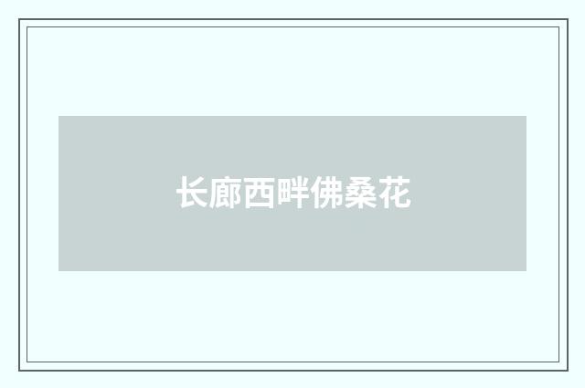 长廊西畔佛桑花