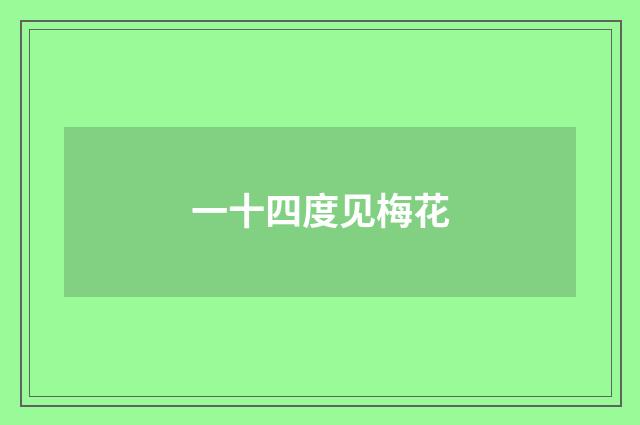 一十四度见梅花