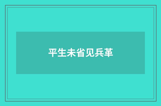 平生未省见兵革