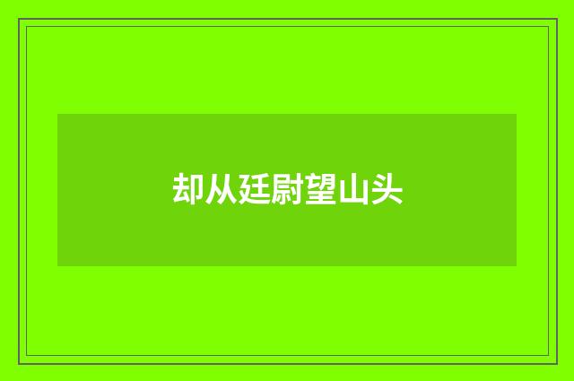 却从廷尉望山头
