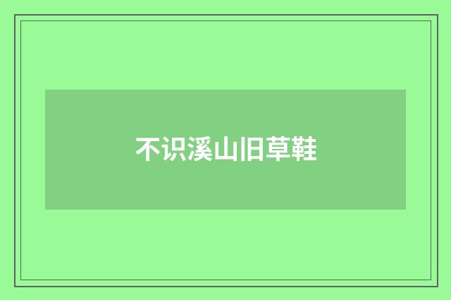 不识溪山旧草鞋