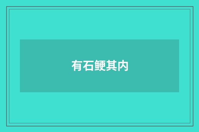 有石鲠其内