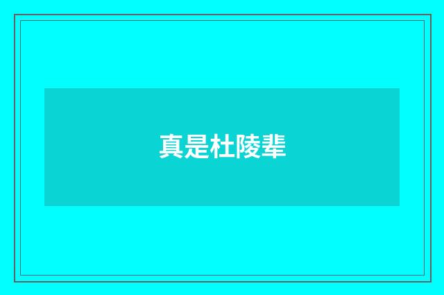 真是杜陵辈