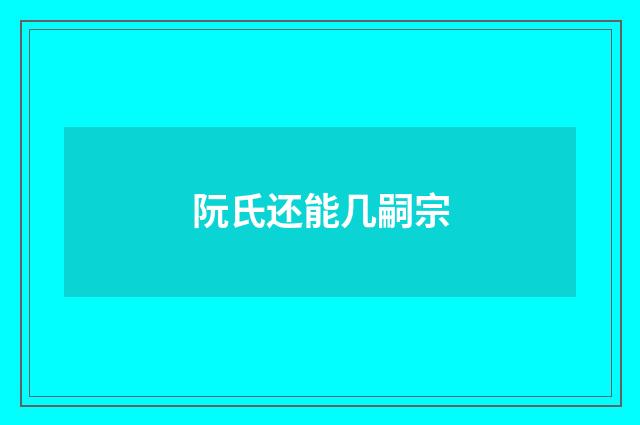 阮氏还能几嗣宗