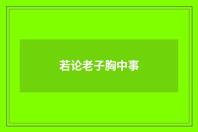 若论老子胸中事