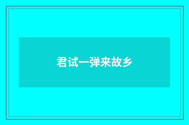 君试一弹来故乡