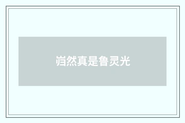 岿然真是鲁灵光
